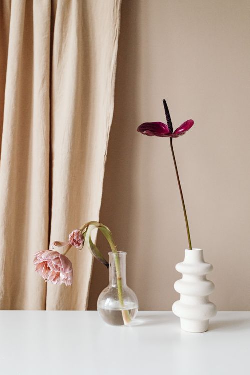 Free Elegant arrangement of Anthurium and Tulip in ceramic and glass vases, perfect for minimalist decor. Stock Photo