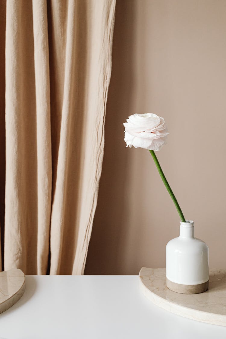 White Flower In Vase