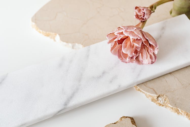 Pink Flower With Bud On White Marble Slab