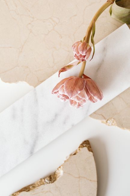 A single pink tulip elegantly placed on a textured marble surface, exuding simplicity and charm.