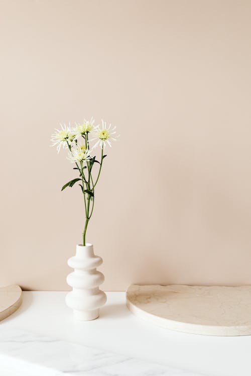 White Flowers on White Vase