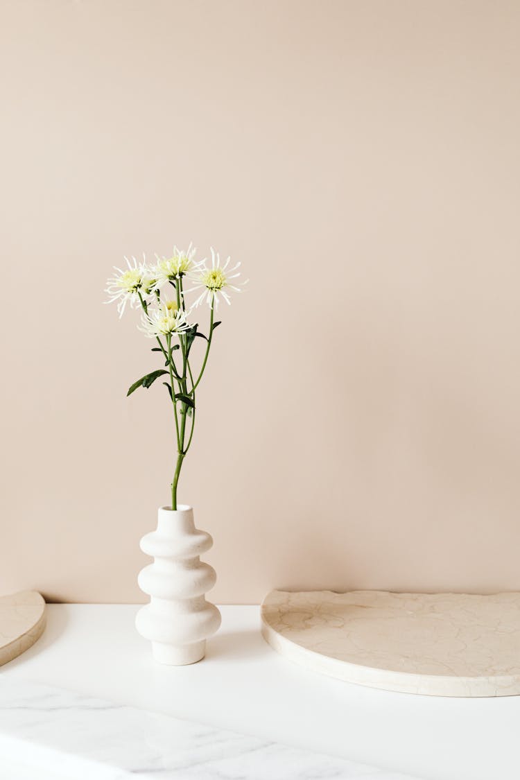 White Flowers On White Vase