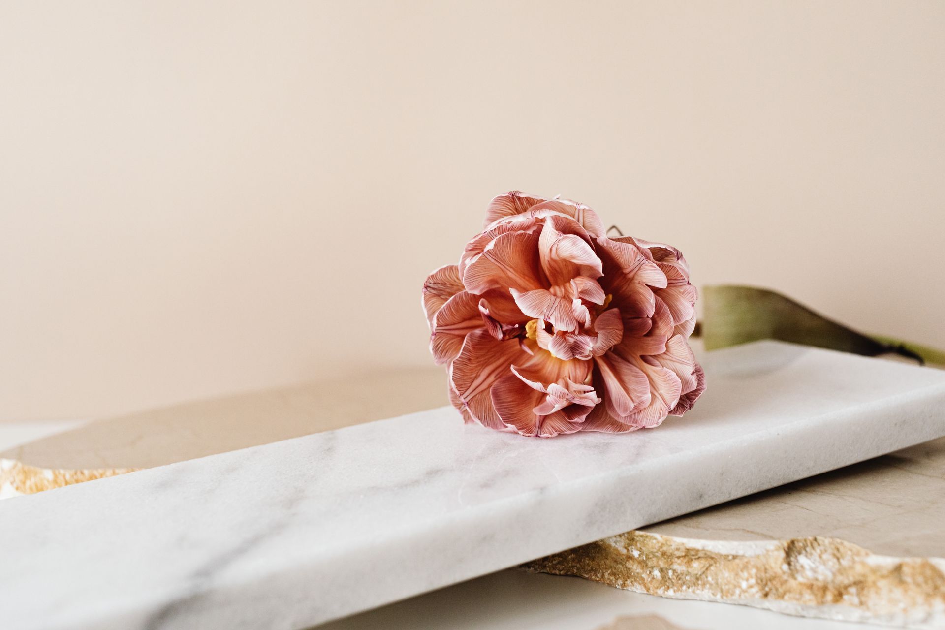 Pink Flower on White Marble Slab