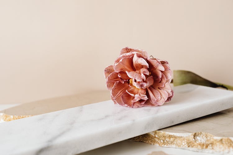 Pink Flower On White Marble Slab