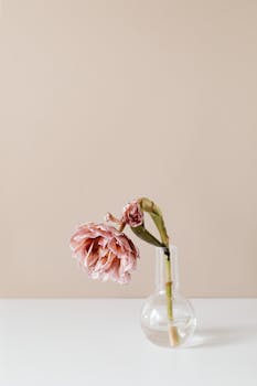 A delicate pink flower gracefully wilts in a clear glass vase against a neutral background.