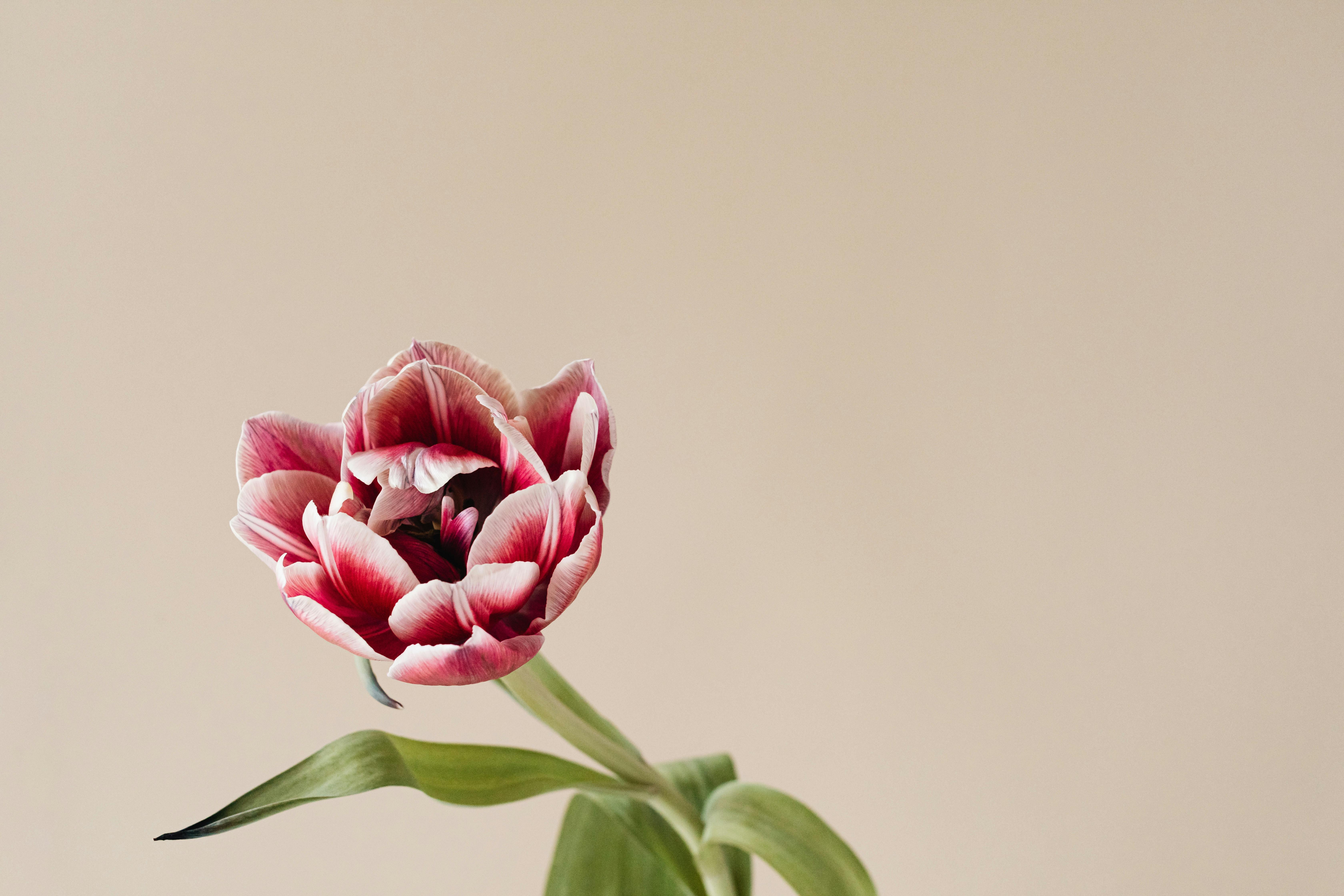 Blog header background