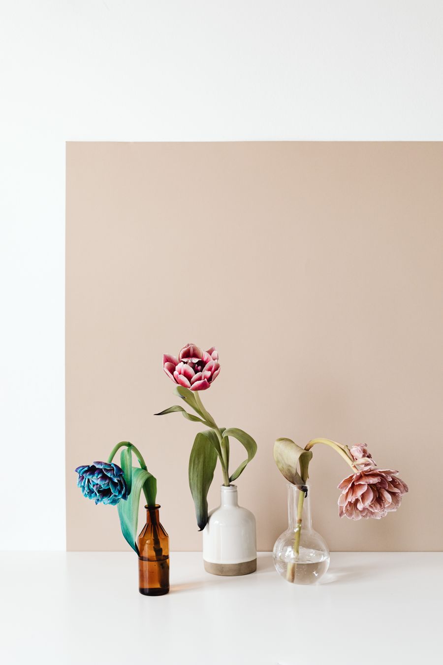 Three single stems in small bottles against a blush paper backdrop — photo by Kaboompics on Pexels