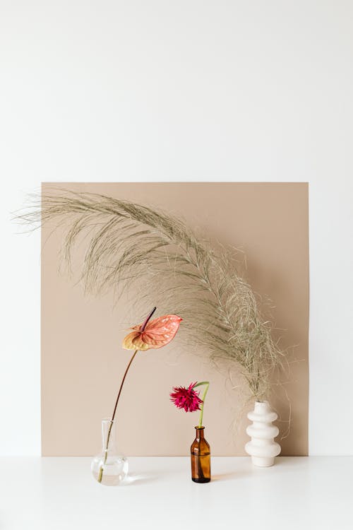 Pink Flowers and Dried Leaves on Vases