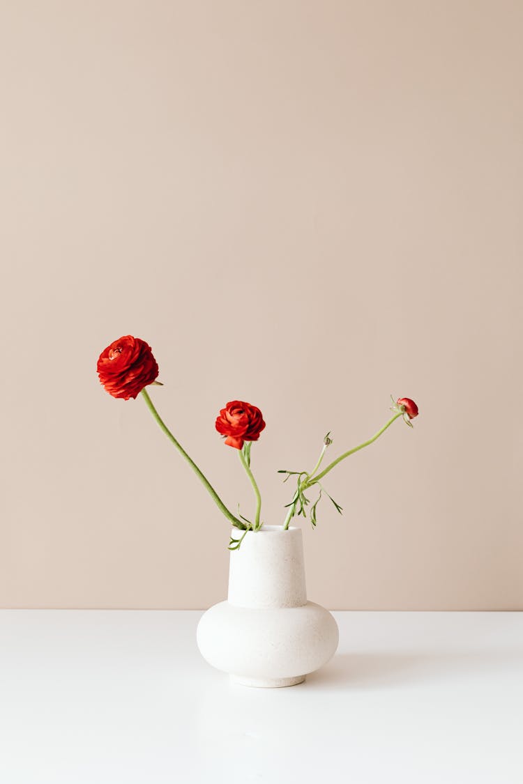 Red Flowers In White Vase
