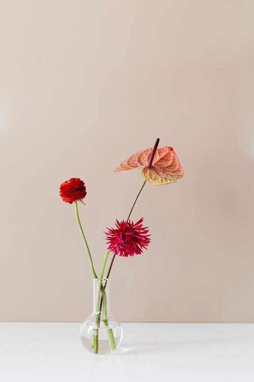 Studio Shot of Three Blooming Flowers in a Vase