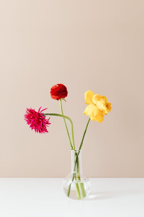 Assorted Flowers in Clear Glass Vase