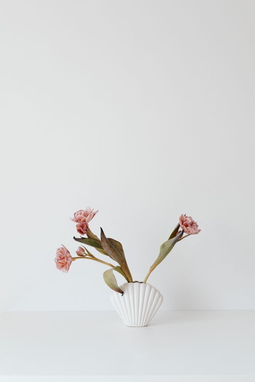 Free A minimalist photo of pink flowers in a white vase against a white background, conveying simplicity and elegance. Stock Photo