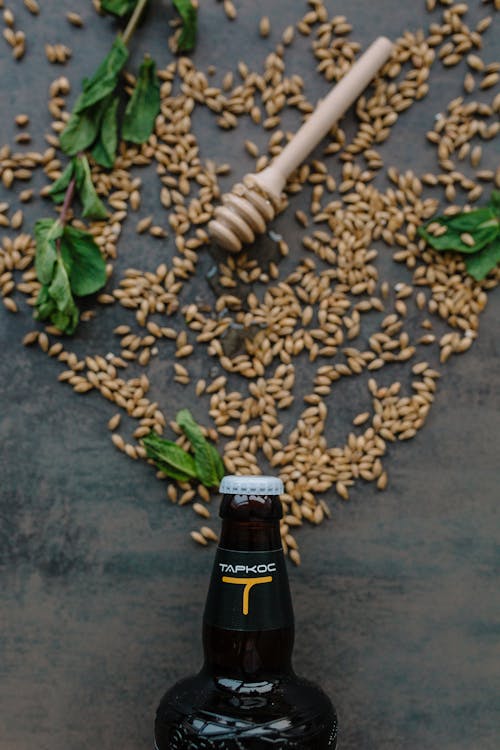 Free Bottle and Seeds Stock Photo