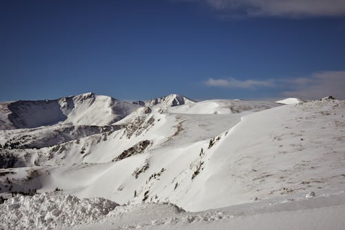 下雪的, 冰, 冷冰的 的 免費圖庫相片