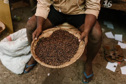 Crop ethnic person with coffee beans on plate