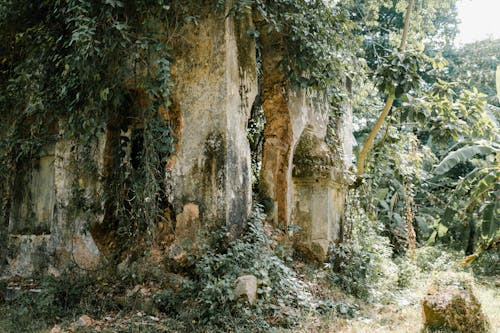 Aged stone temple with shabby facade located in rock in mountain in lush green woods