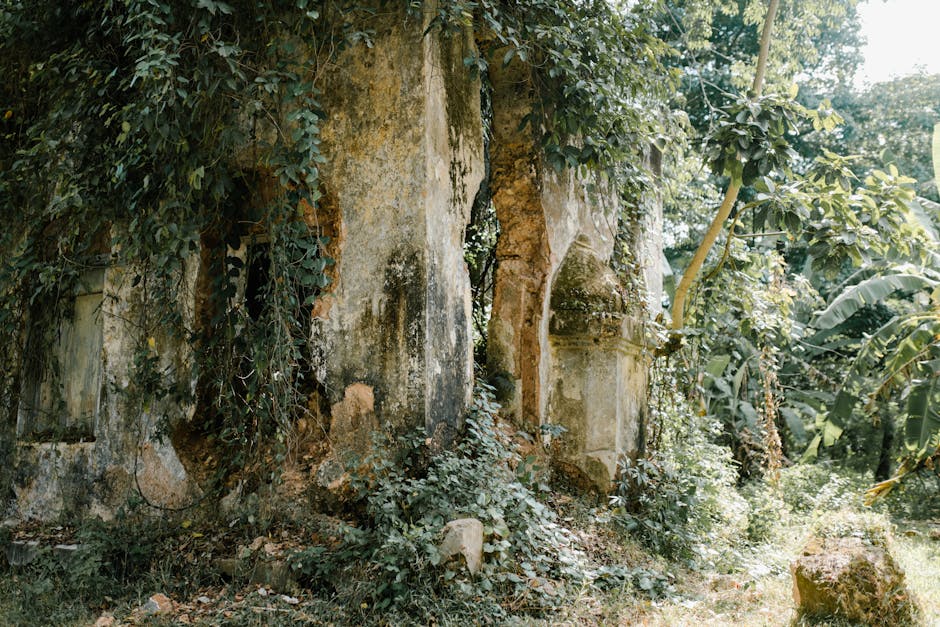 Forest Bathing for Rejuvenation and Well-being