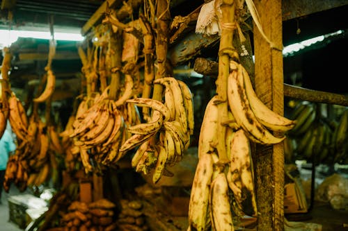 Bunch of fresh bananas in local bazaar