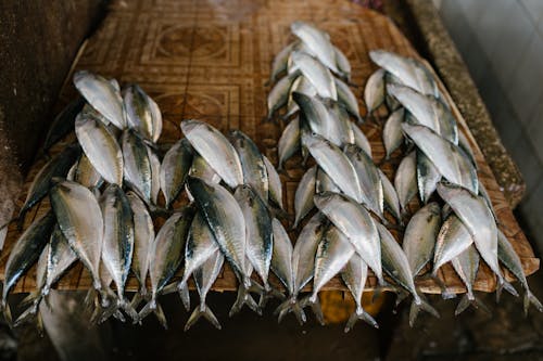 Fresh fish on stall at market