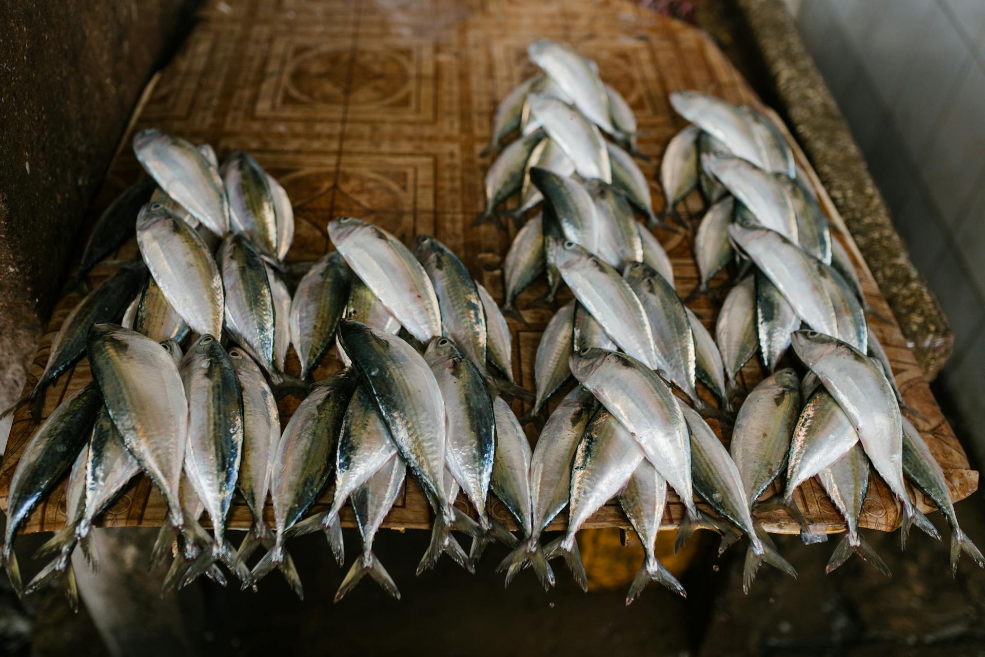 Fresh fish on stall at market