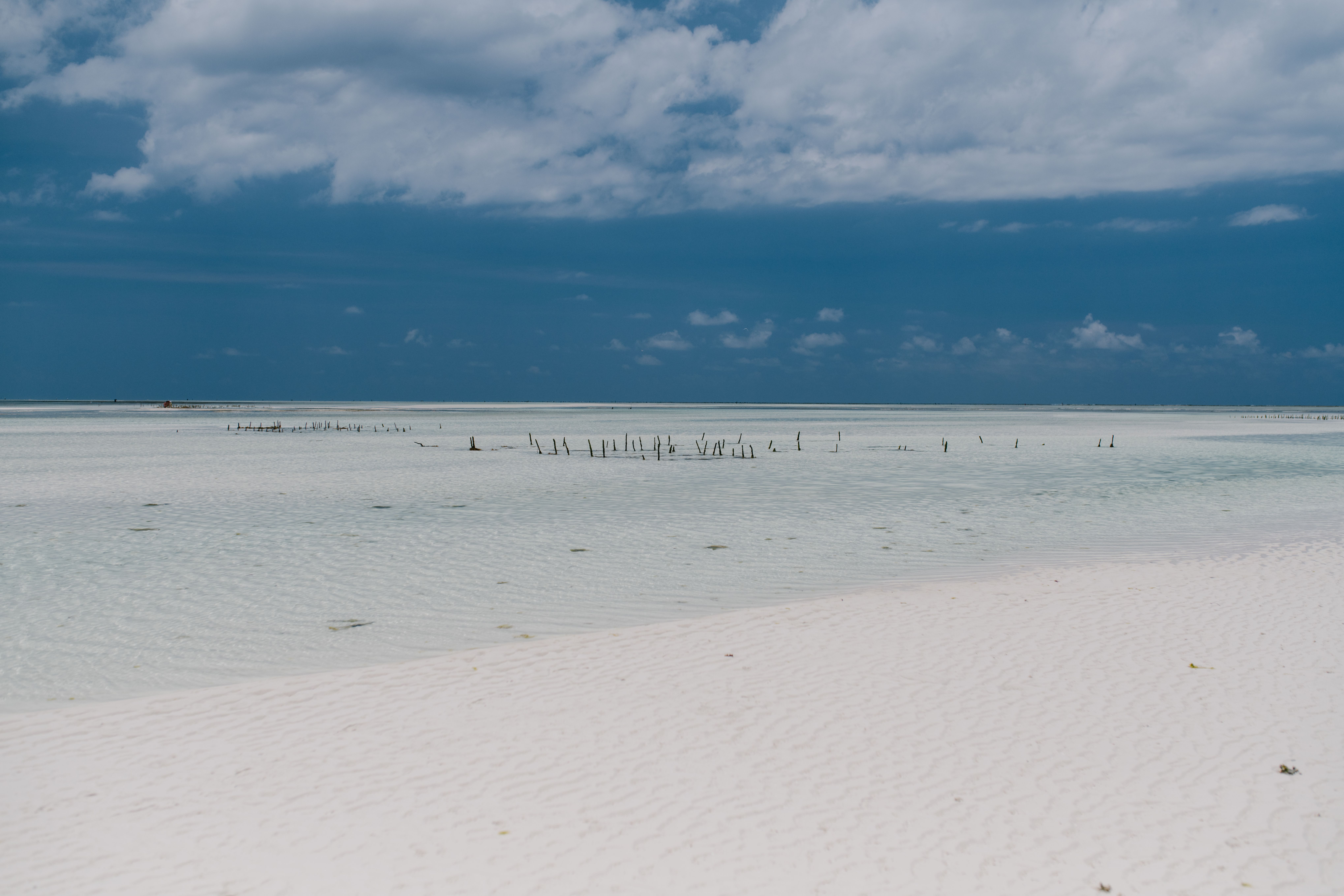 Shallow clear water revealing pale sand and seagrass below