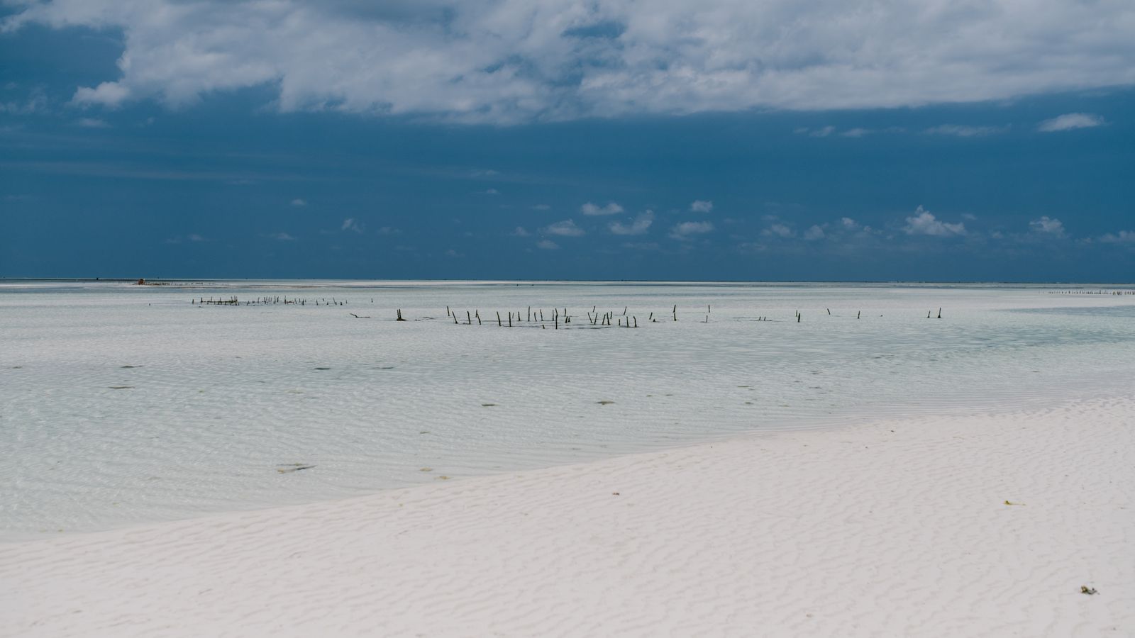 Shallow clear water revealing pale sand and seagrass below