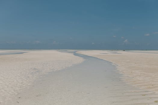 Picturesque view of transparent shallow seawater on sandy shore under blue sky in exotic country