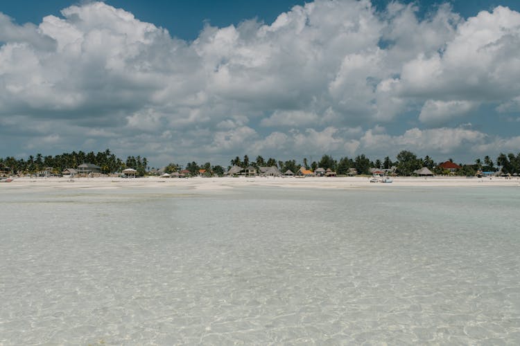 Tropical Sandy Beach With Thatched Bungalow