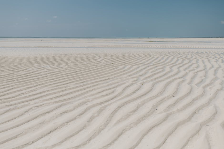 Unexplored Islands and Coastlines