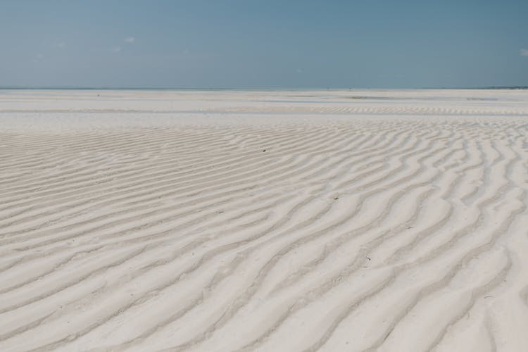 Spacious Sandy Seacoast Under Blue Sky