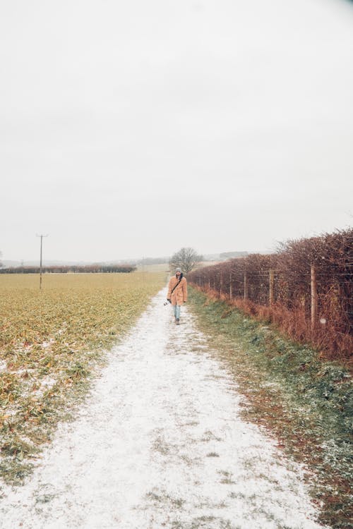 Free Snow Covered Pathway Stock Photo