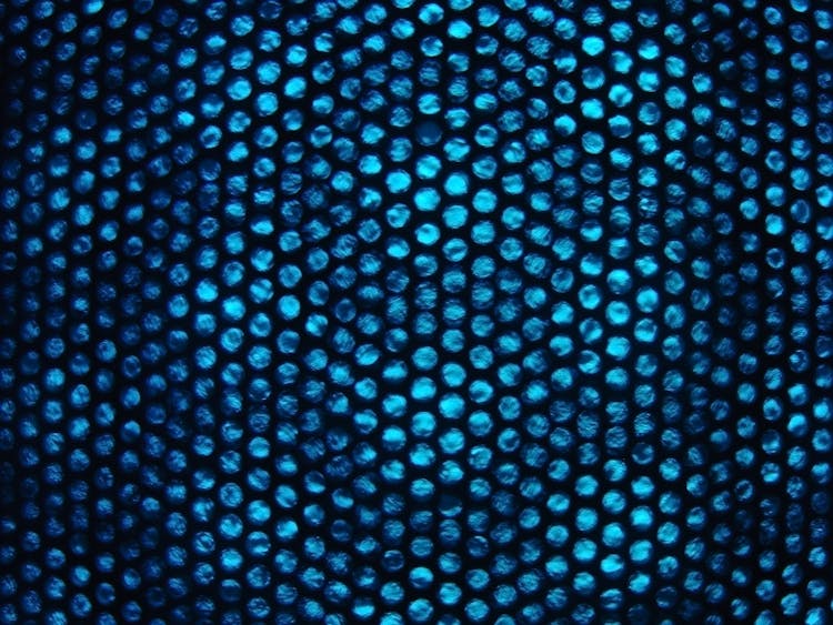Black Net And Blue Dots 