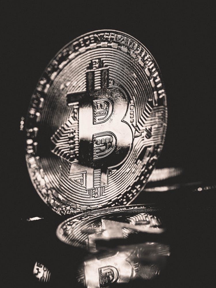 Grayscale Photo Of A Bitcoin