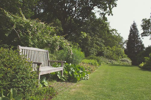 Серая деревянная скамейка в окружении зеленой травы