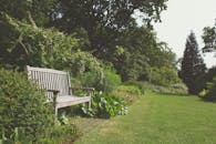 Gray Wooden Bench Surrounded by Green Grass Trees