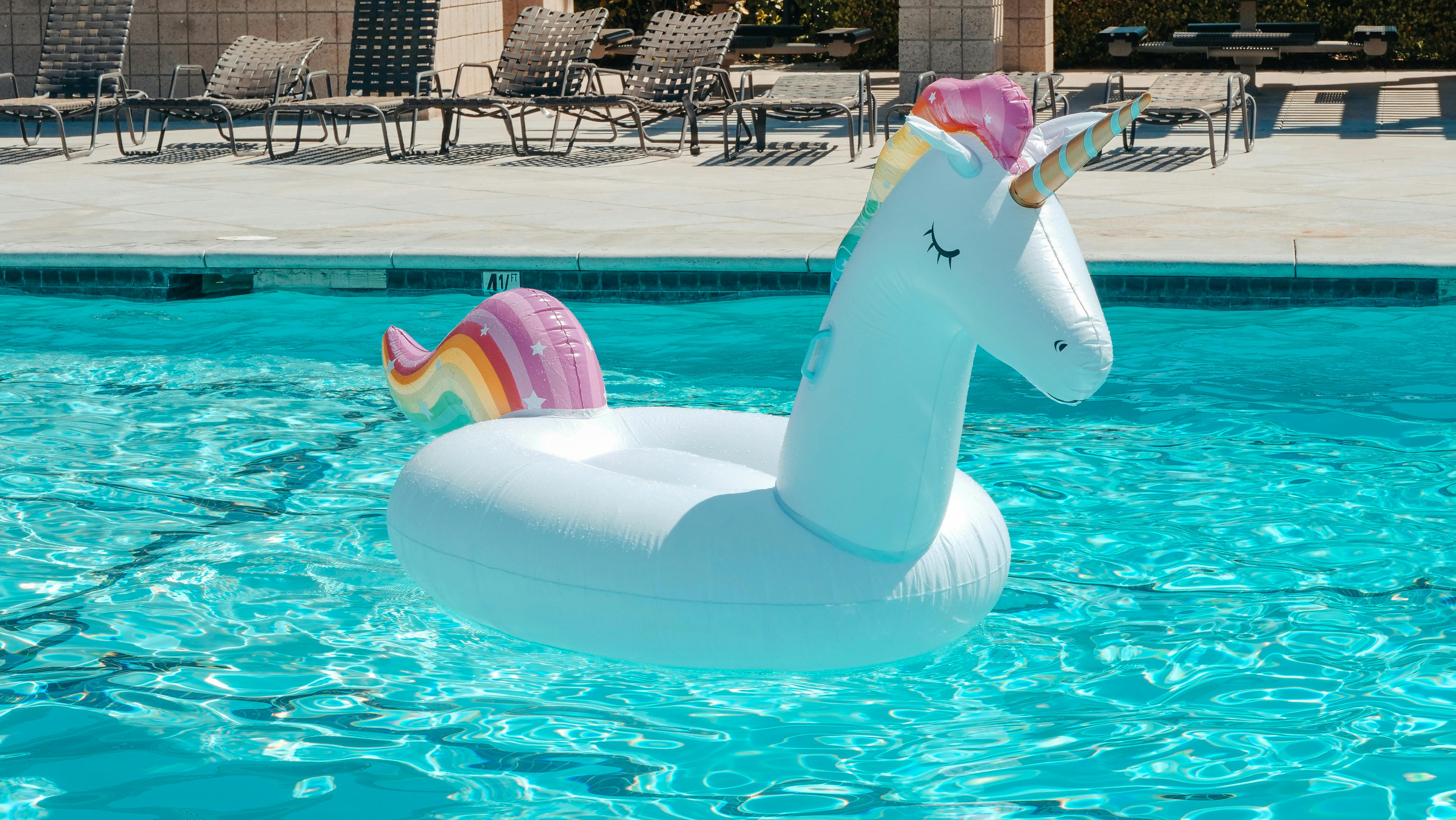 Pool Float Photos Perfect Flyers Great Stock Photo 1539297611  Shutterstock