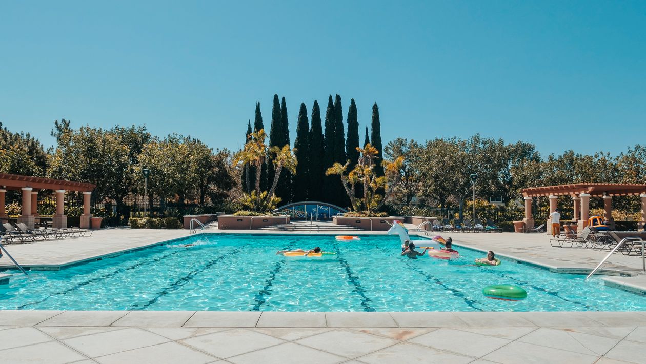 People in the Swimming Pool · Free Stock Photo
