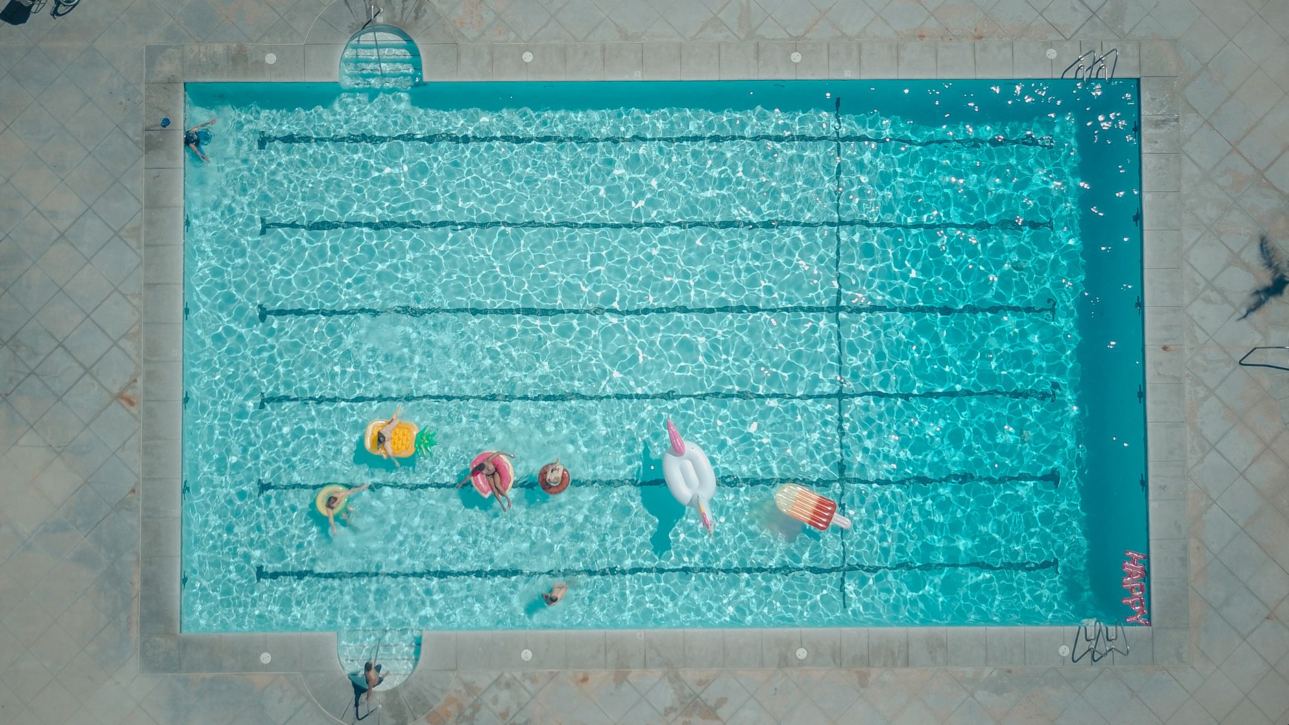Les cours de natation de lêl