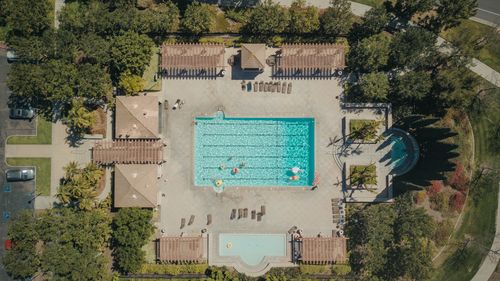 Free Top-down view of a resort pool area with people relaxing and lush surroundings. Stock Photo