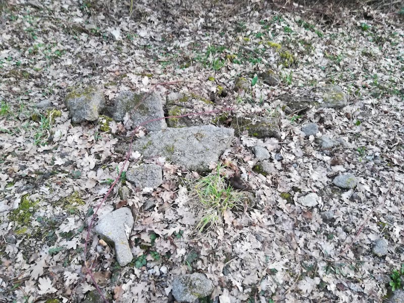 طقم ألواح تقطيع خيزران