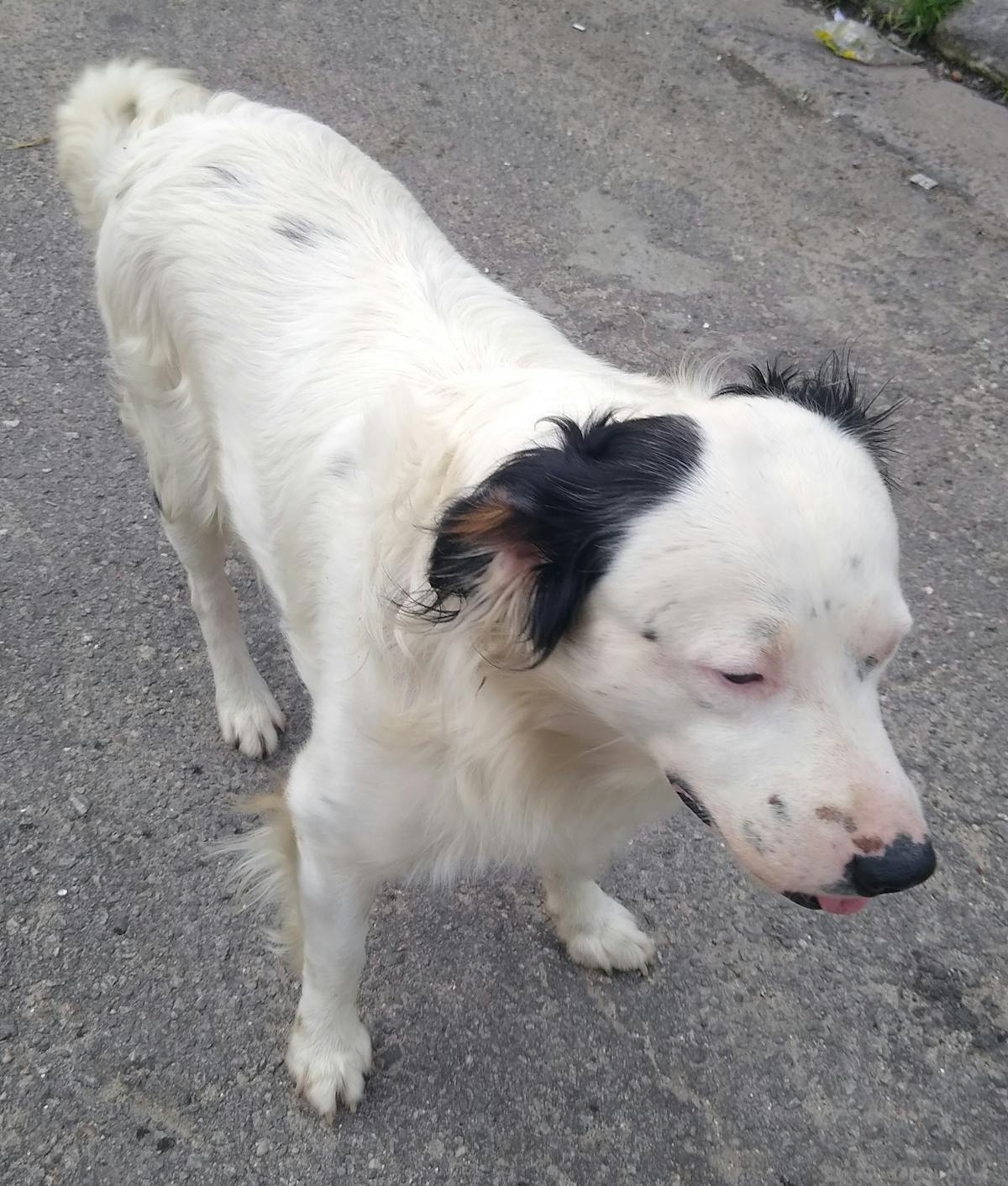 Cover image for How Accountability Is Weaponized