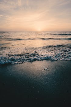 Tranquil sunrise over the Atlantic Ocean with gentle waves and a lone starfish on the sand in Melbourne, FL.