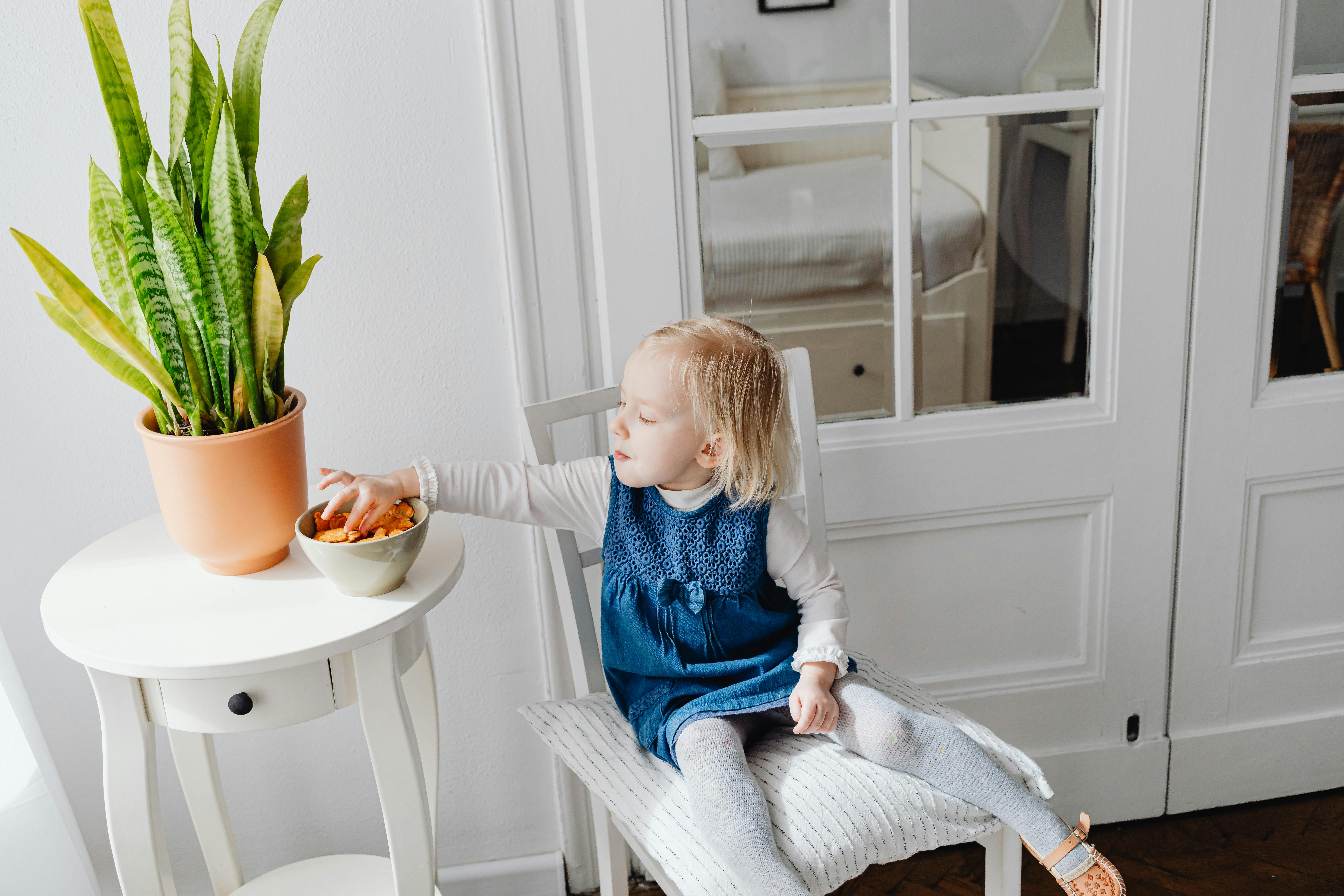 無料 キッド, 女の子, 子の無料の写真素材 写真素材