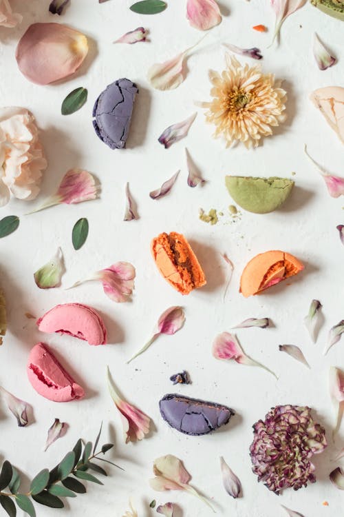 Free Various Petals, Flower Heads and Macaroon Cookies Flat Laid Against a White Background Stock Photo