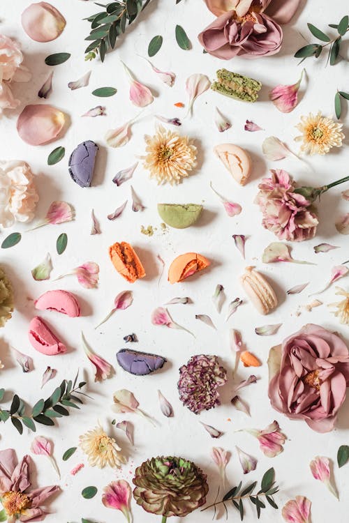 A Sliced Macaroons Surrounded with Flower Petals on a White Surface