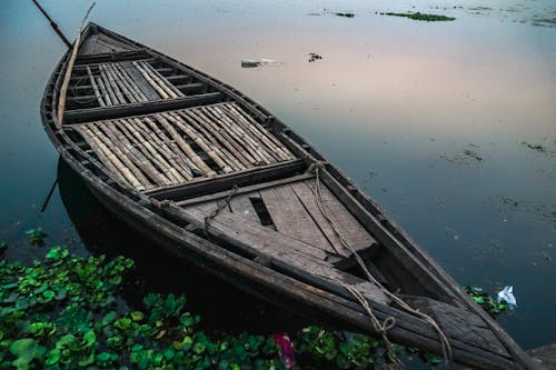 Fotobanka s bezplatnými fotkami na tému drevený, lekná, loď