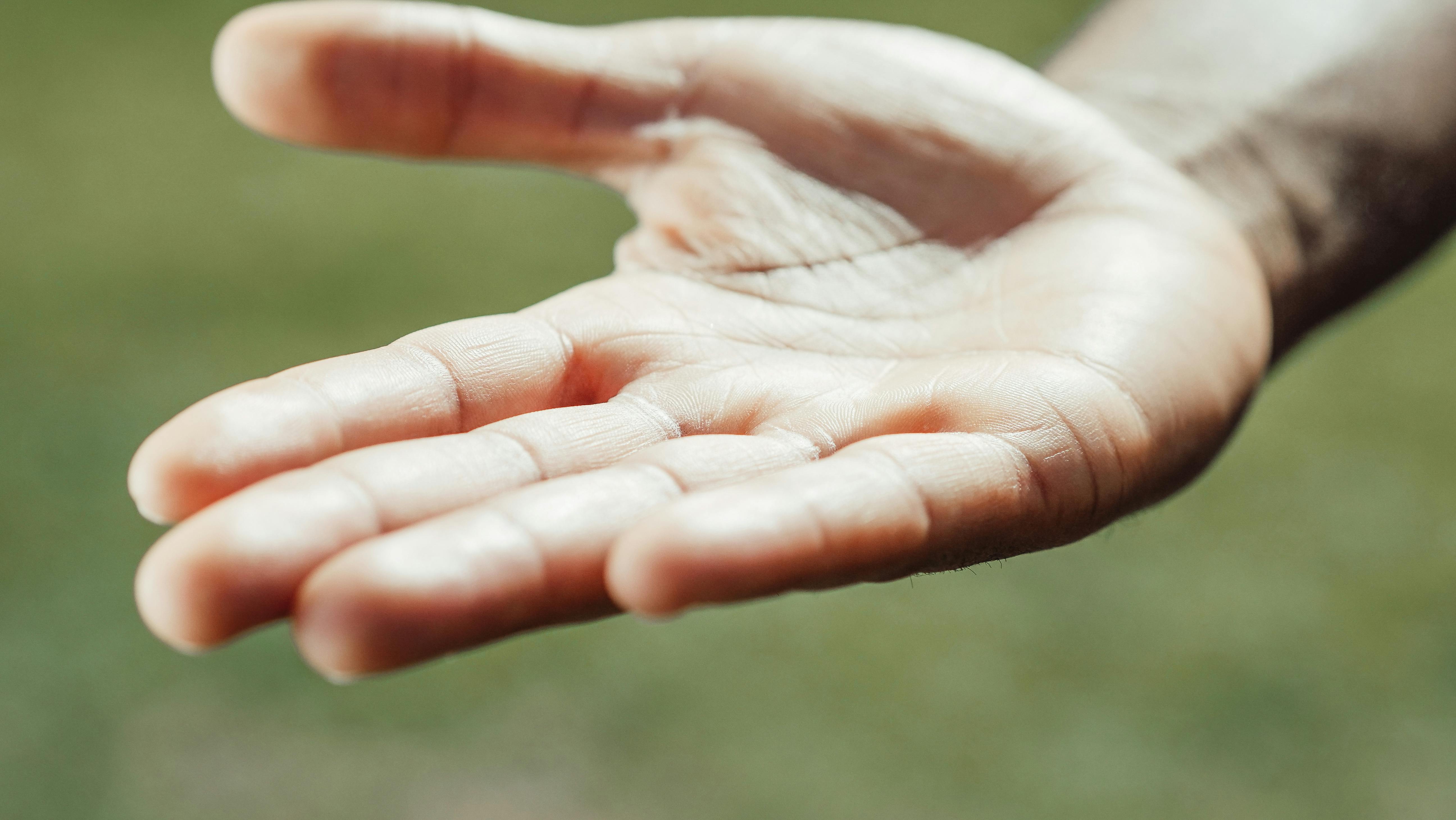 Human Hand Stock Photo - Download Image Now - Small, Human Hand