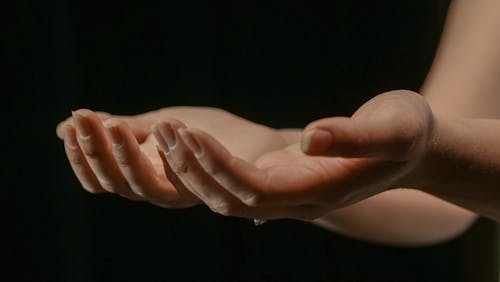 Close Up Photo of Open Hands