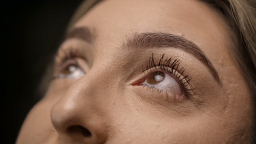 Základová fotografie zdarma na téma extrémní zblízka, kůže, měkké zaostření