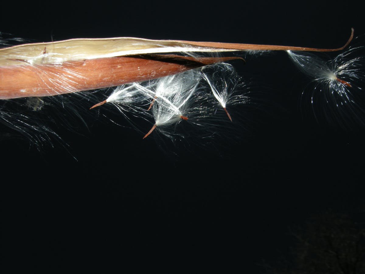 Artisans creating traditional Indian crafts with colorful materials and intricate patterns in a warm, welcoming workshop environment